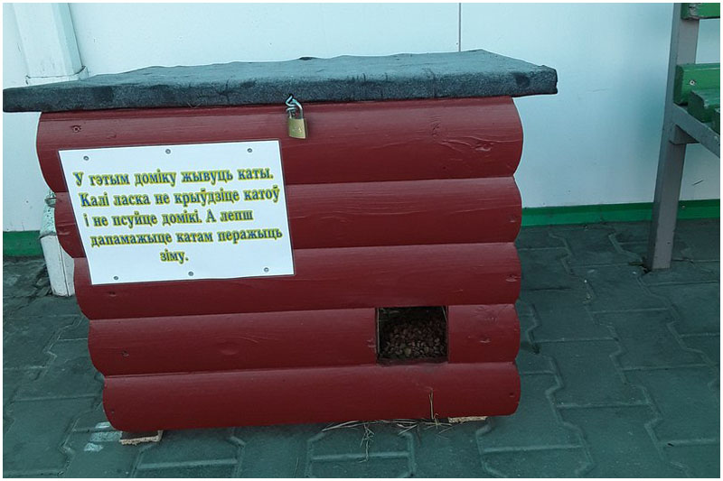 Теплые домики для бездомных котов установили в Кобрине