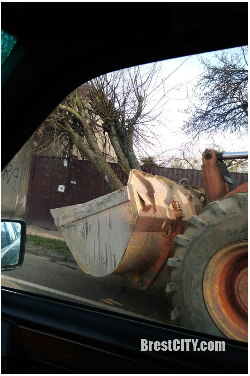 Необычное ДТП в Бресте: на ул.Пушкинской экскаватор повалил дерево