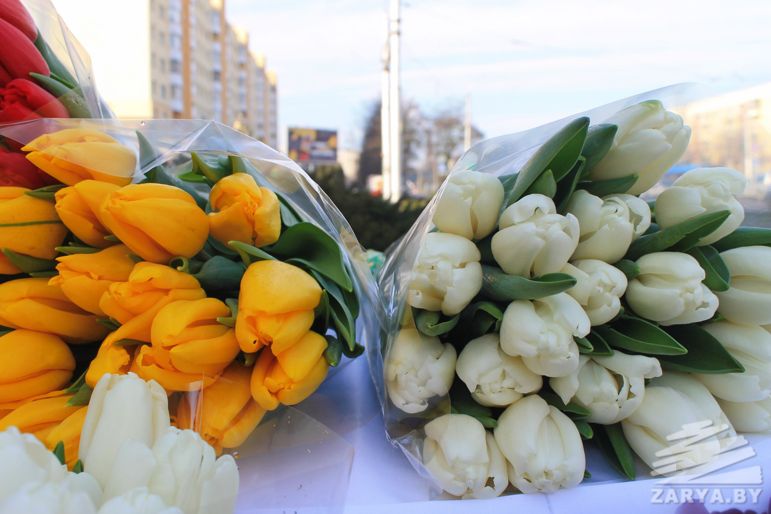 Где Купить Тюльпаны В Екатеринбурге
