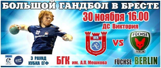 Гандбол в Бресте. 20 ноября 2013. Дворец спорта Виктория. БГК - Берлин