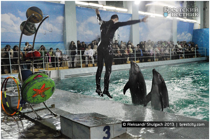 Открытие дельфинария в Бресте 08.02.2013