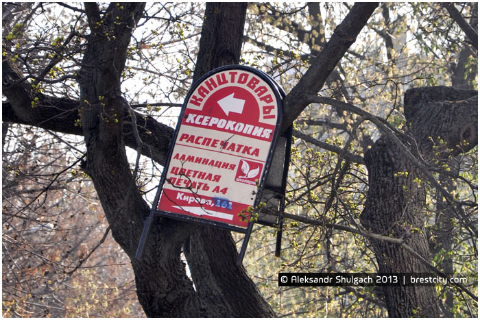 Рекламный щит на дереве в Бресте