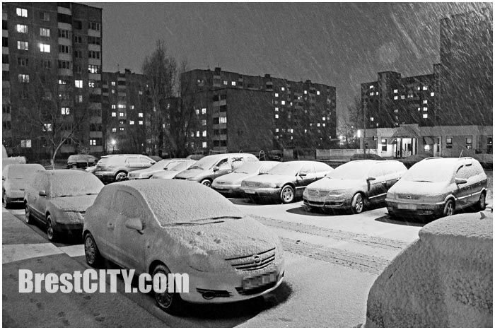 В Бресте выпал первый снег 19 ноября 2014