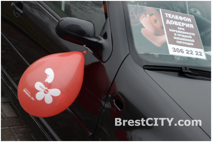 Автопробег в защиту жизни с момента зачатия в Бресте 8 марта 2014г. Фото: BrestCITY.com