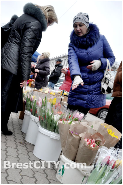 Продажа цветов в Бресте к 8 марта 2014