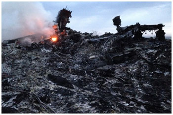 Место крушения рейса MH17. © AP Photo/Dmitry Lovetsky