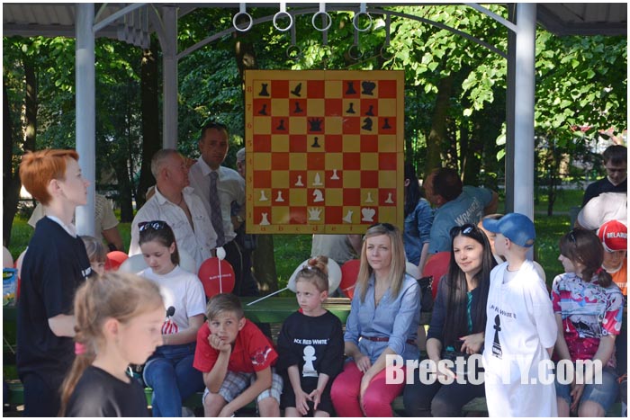 Живые шахматы в брестском парке