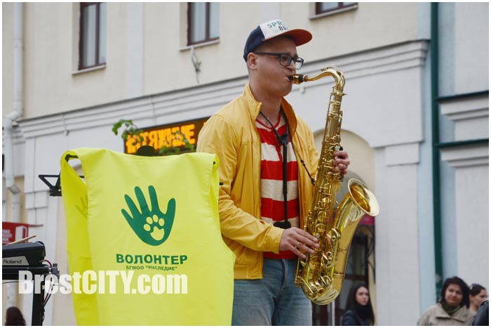 Благотворительный уличный концерт в Бресте на музыкальной площадке. Трио Jazz Lime