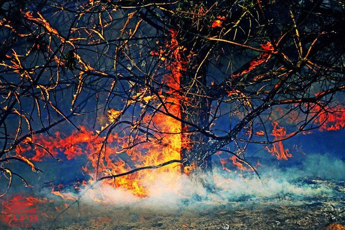 Весенние палы. Пожар в деревне Окольники