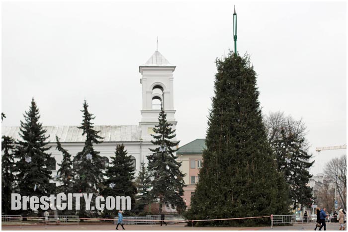 Демонтаж главной городской елки на пл.Ленина