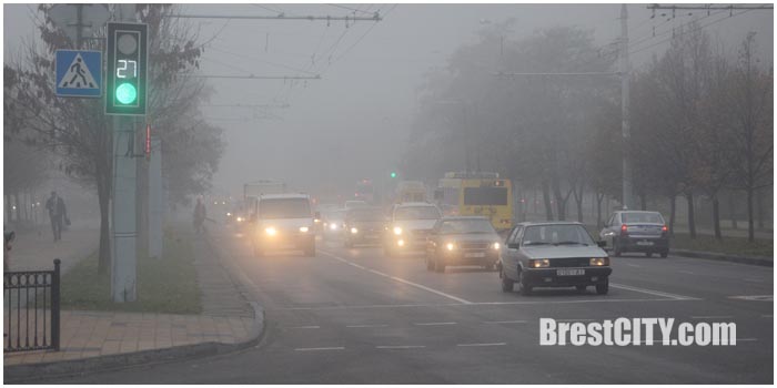 Туман на дорогах Бреста. Фото BrestCITY.com