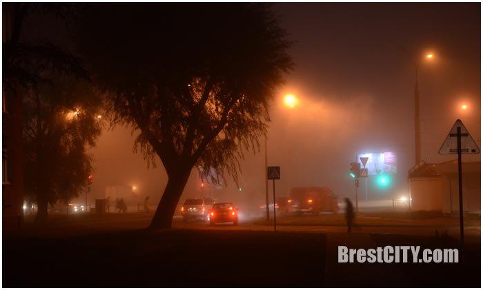 Туман на дорогах Бреста. Фото BrestCITY.com