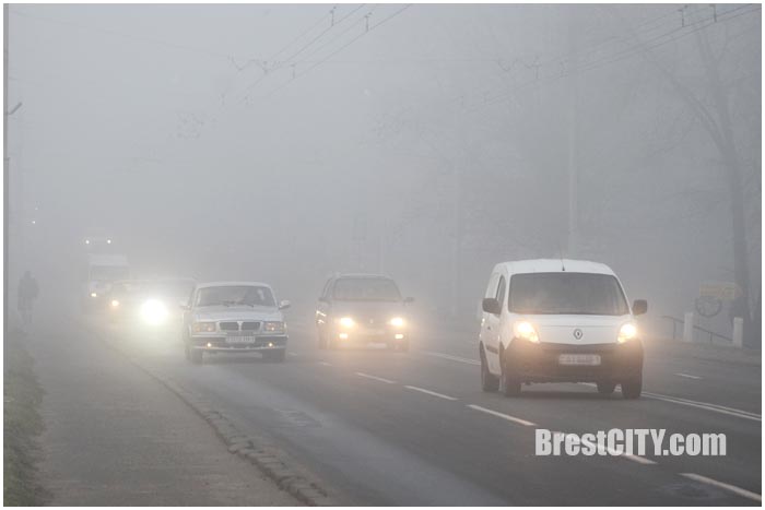 Туман в Бресте 8 декабря 2015 года