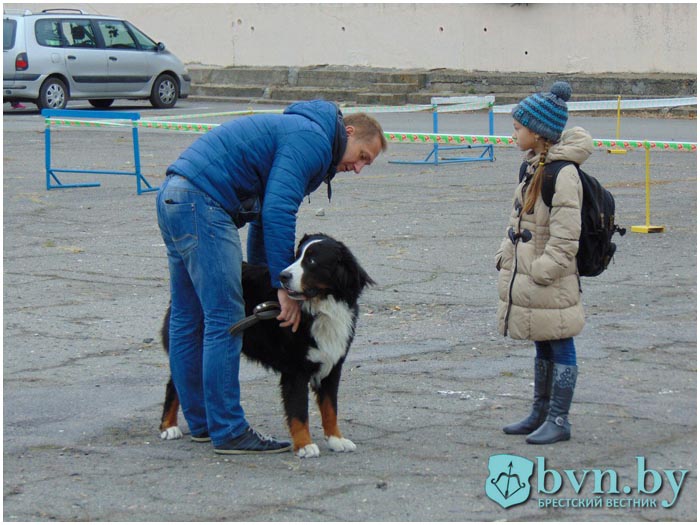 Выставка собак в Бресте на стадионе Локомотив