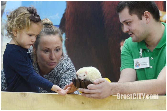 Контактный зоопарк Страна Енотия в Бресте. Фото BrestCITY.com