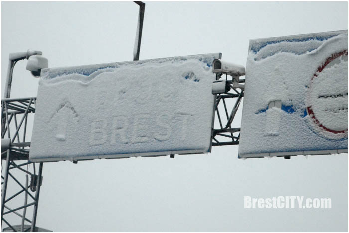 Первый снег в Бресте. 9 ноября 2016. Фото BrestCITY.com