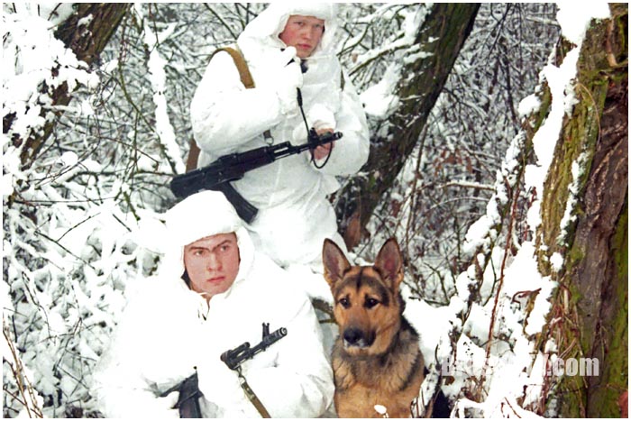 Пограничники зимой с собакой