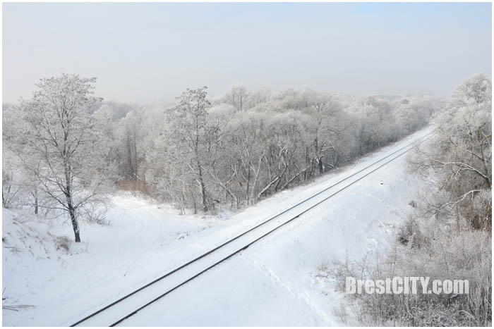 Красивые зимние пейзажи Бреста. Январь 2016. Фото BrestCITY.com