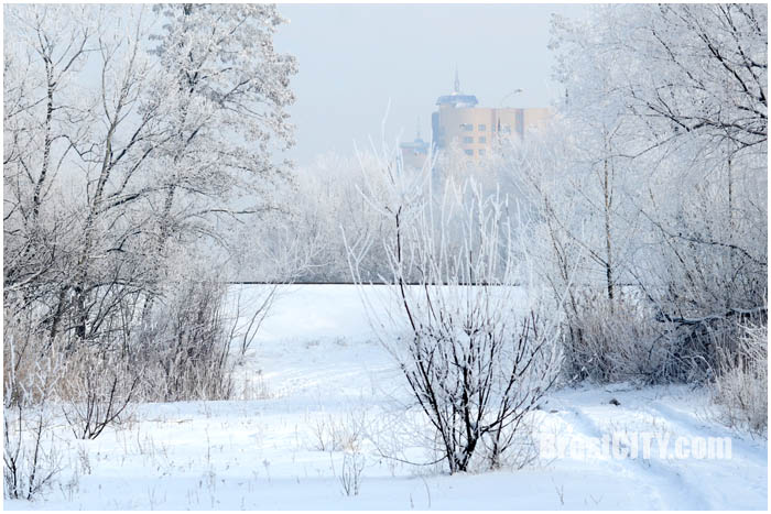 Красивые зимние пейзажи Бреста. Январь 2016. Фото BrestCITY.com