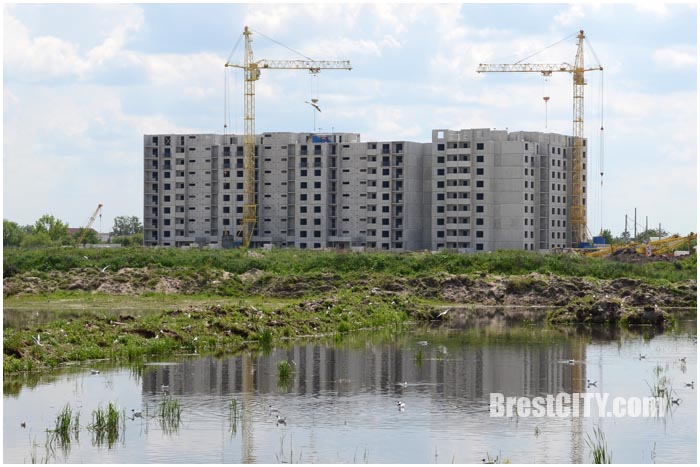 Чайки. Брест. Строительство нового микрорайона. Фото BrestCITY.com