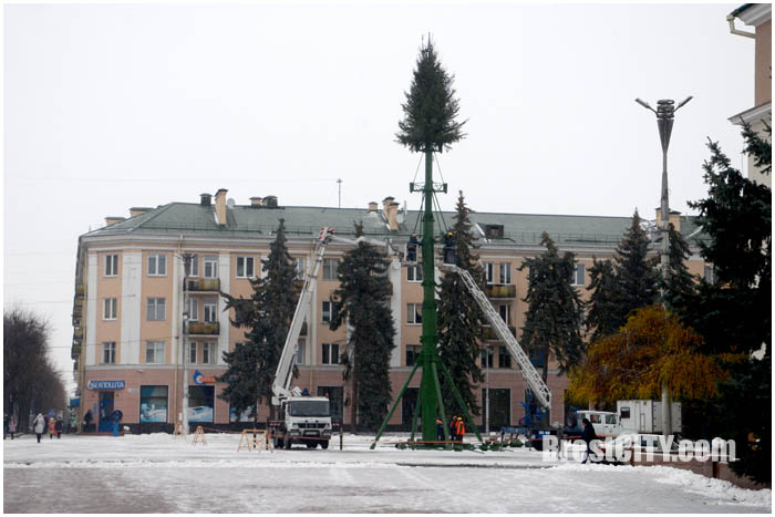 Монтаж городской елки на площади Ленина в Бресте. Фото BrestCITY.com
