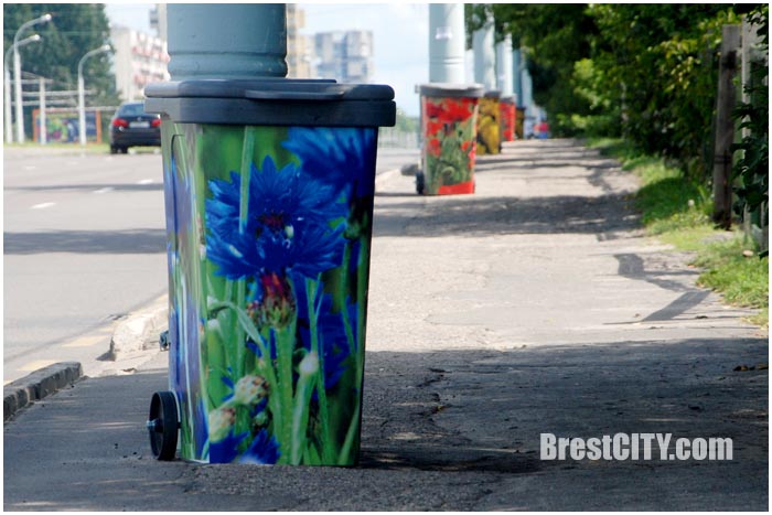 Разрисованные мусорные баки в Бресте. Фото BrestCITY.com