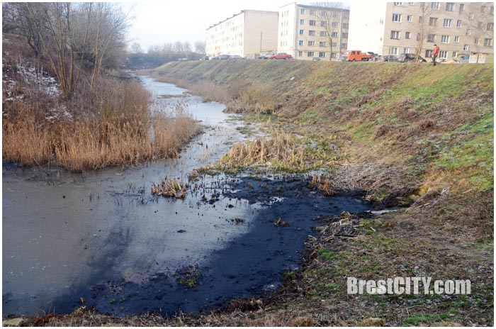 Обводной канал крепости загрязнен нефтепродуктами. Фото BrestCITY.com
