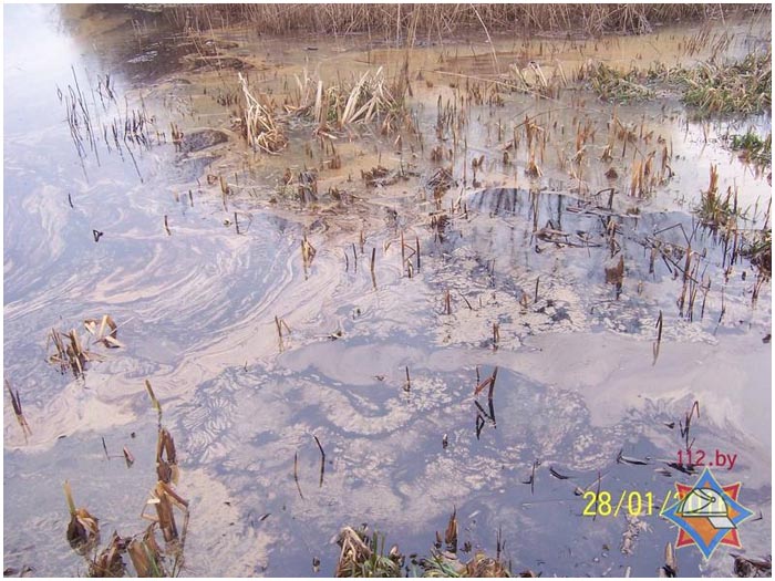Обводной канал крепости загрязнен нефтепродуктами. Фото BrestCITY.com