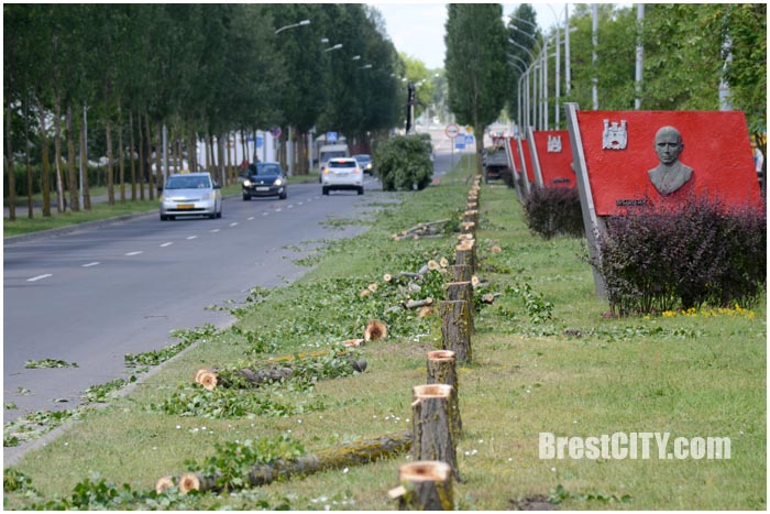 Реконструкция проспекта Машерова в Бресте. Фото BrestCITY.com