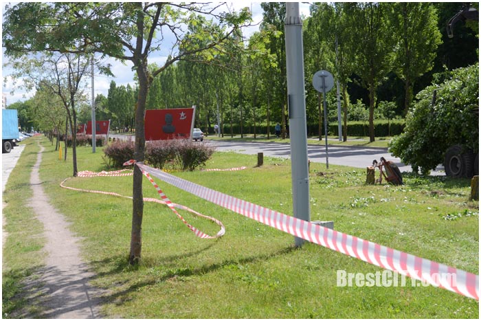 Реконструкция проспекта Машерова в Бресте. Фото BrestCITY.com