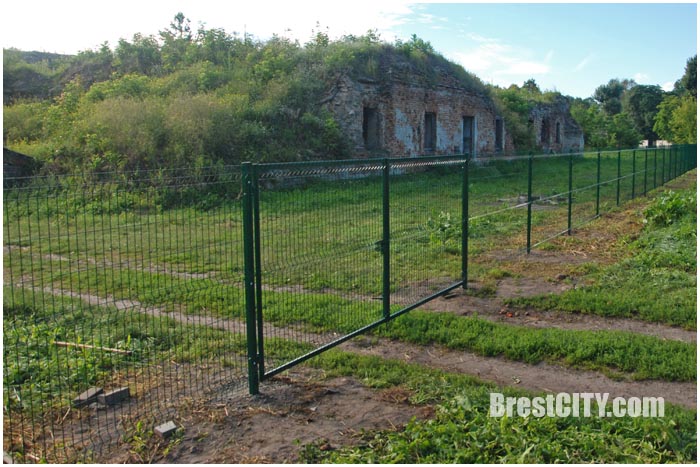 Руины бернардинского монастыря обнесли забором и убрали крест. Фото BrestCITY.com