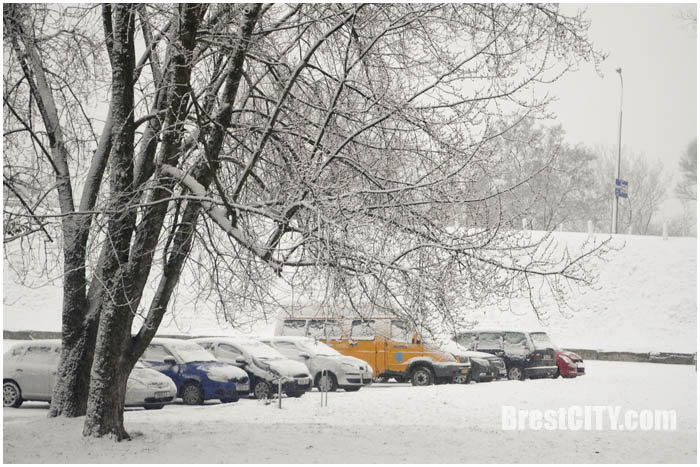 Зимние фотографии Бреста. Февраль 2016. Фото BrestCITY.com
