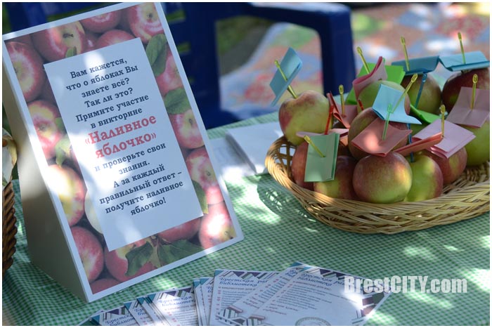 Яблочный фестиваль в Вистычах возле Бреста. Фото BrestCITY.com
