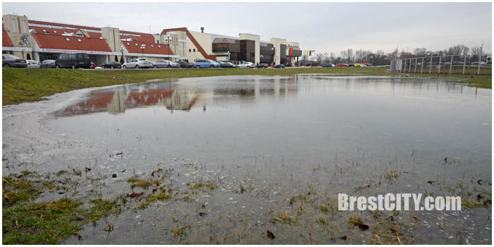 После растаявшего снега в Бресте много воды. Фото BrestCITY.com