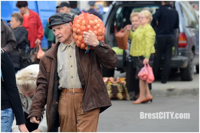 Осенняя ярмарка в Бресте 2016. Фото BrestCITY.com