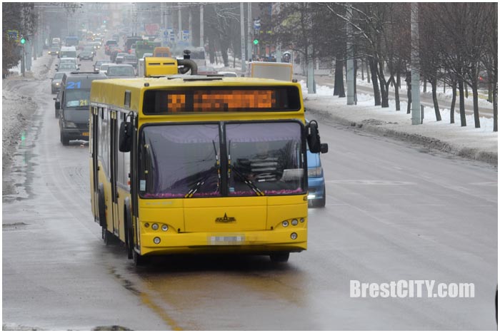 Желтый городской автобус на улице в Бресте