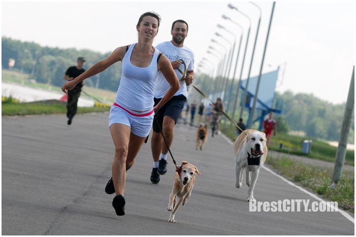 Зоозабег с собаками на Гребном в Бресте 24 июля 2016. Фото BrestCITY.com