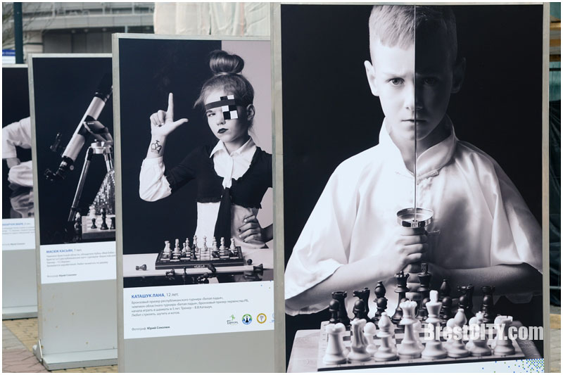 Шахматная выставка в Бресте