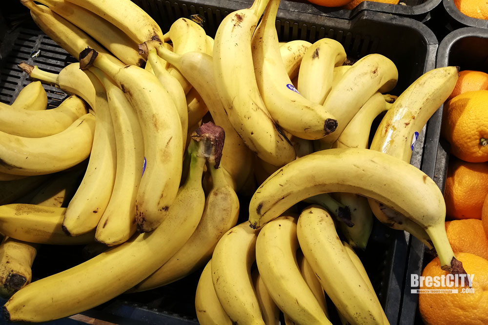 Под видом бананов. В Россию везли 76 кг кокаина из Колумбии
