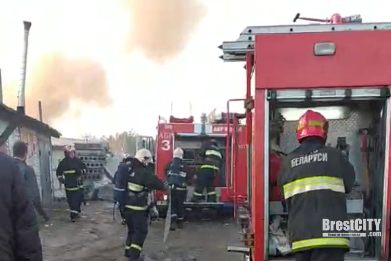 ВИДЕО ⟩ «Есть все, что мне нужно»: женщина живет в гараже, чтобы сэкономить на аренде