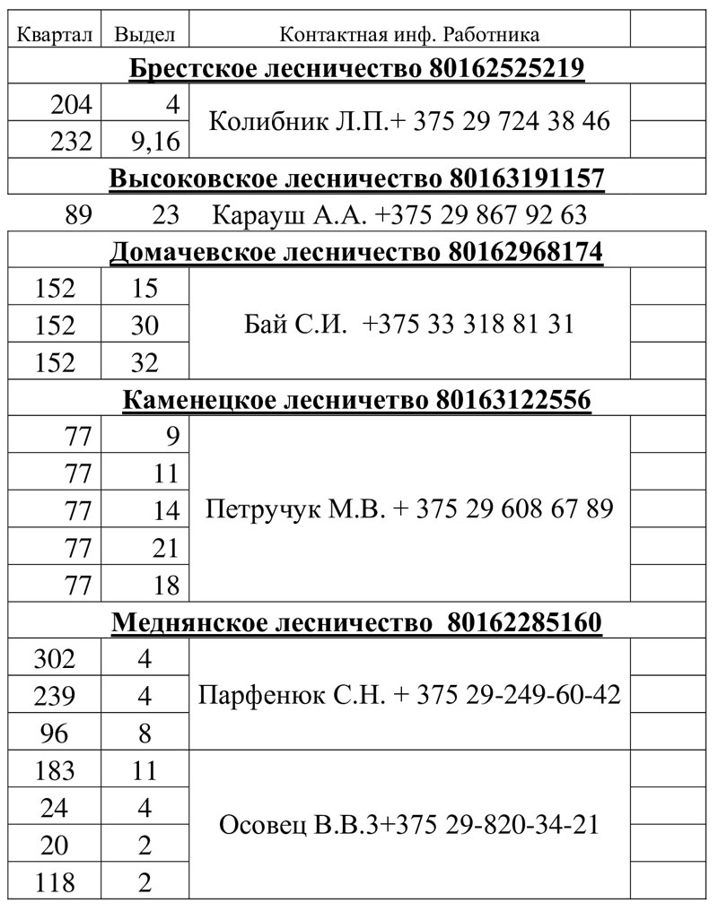 Пошел березовый сок. Сколько стоит и где купить? Телефоны в Бресте и районе  (2021)