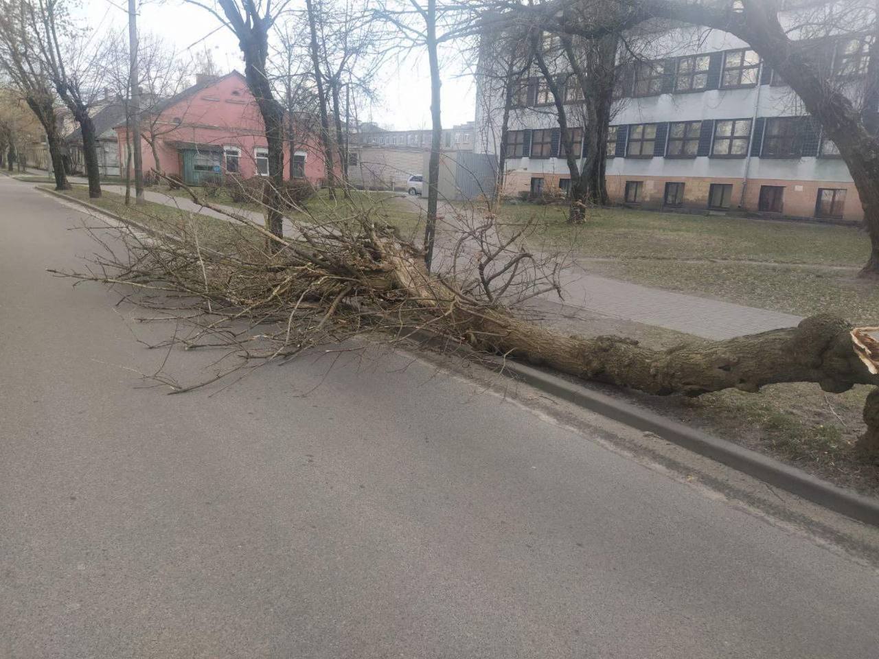 Не только утеплитель. Какие еще проблемы создал ветер в Бресте 18 февраля