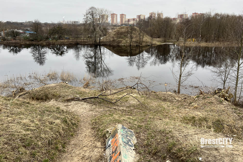 Суворовский мост в бресте