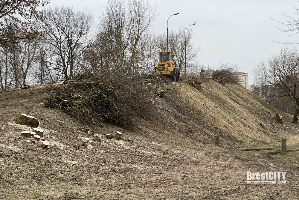 Суворовский мост в бресте