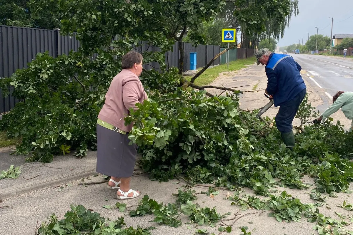 Погода в пинске на сегодня. Град и порывы ветра. Упавшее дерево. Упало дерево на рельсы картинка. Непогода в Курской области сегодня.