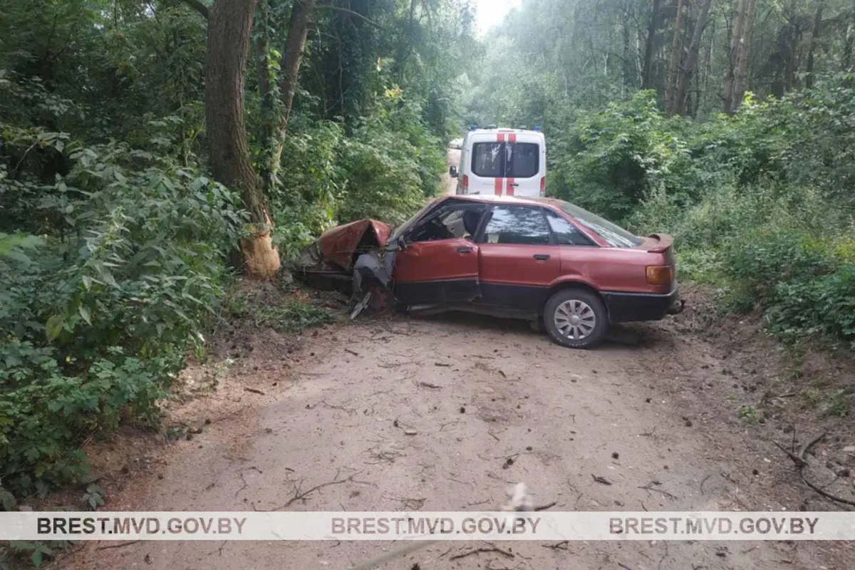 Пьяный на Audi врезался в дерево возле кладбища аг.Беловежский