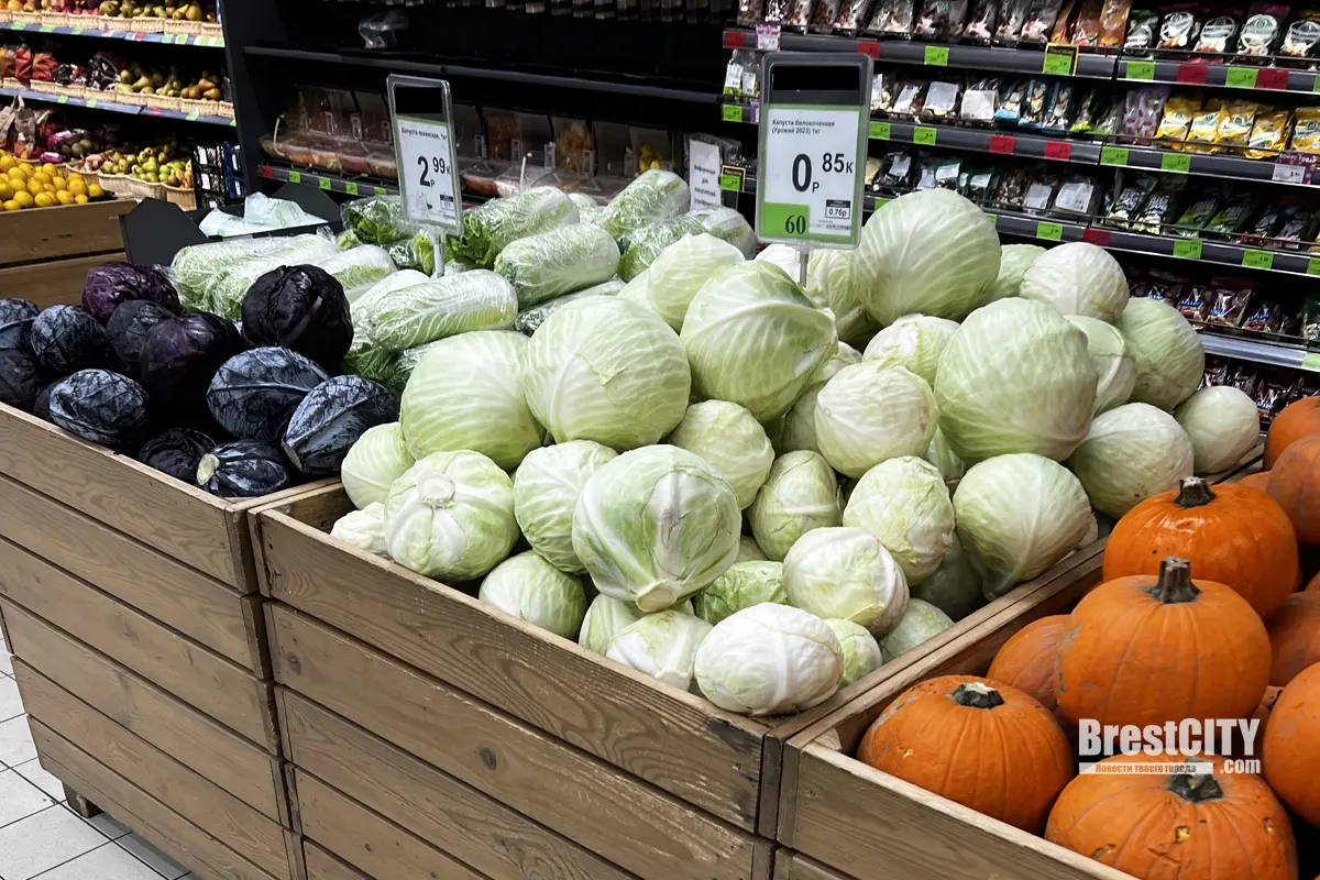 Купить овощи беларусь. Овощи на белорусском.