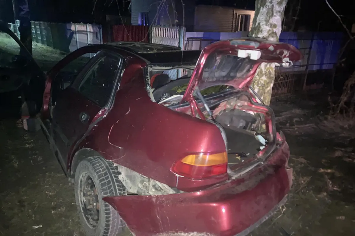 Парень на Honda врезался в дерево в Жабинковском районе. 19-летняя ...