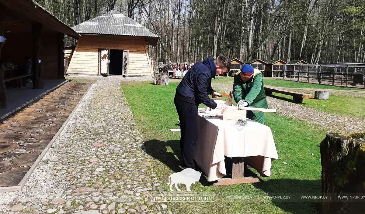 Беловежская пуща и резиденция Деда Мороза. Последние новости