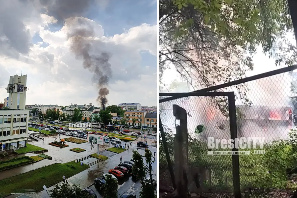 Пожары в Беларуси сегодня. Фото, видео. Последние новости